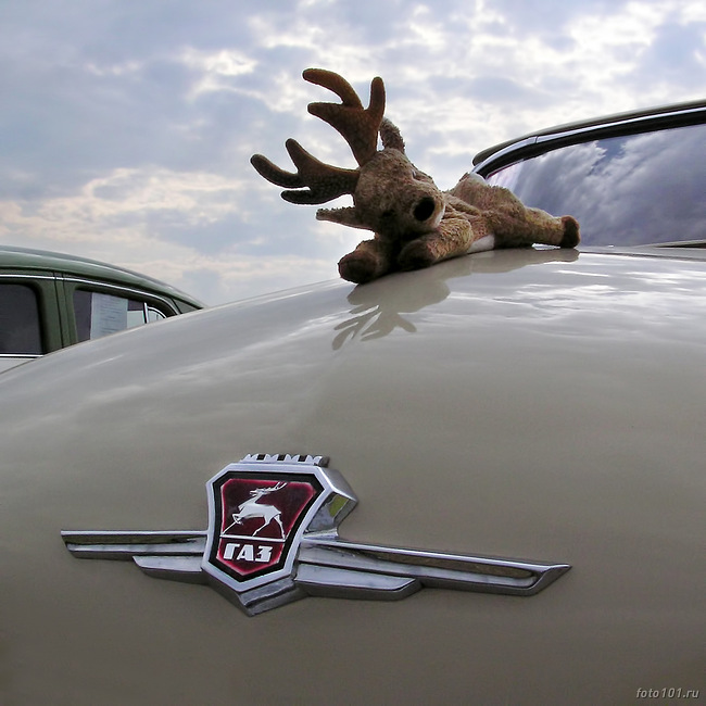 ��� ������ (3)
---------
 (�������� �� �����������, ����� ������� ��� � ������ �����)