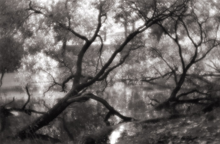 ������ �����
---------
 (�������� �� �����������, ����� ������� ��� � ������ �����)