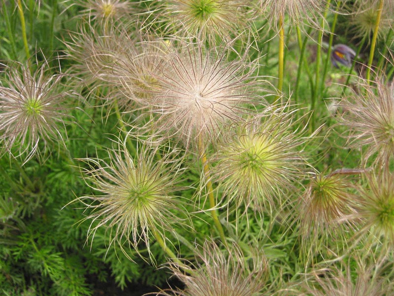 ���-�����
---------
 (�������� �� �����������, ����� ������� ��� � ������ �����)