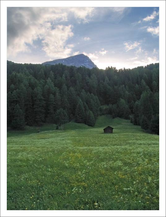  
---------
 (  ,      )