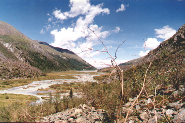 ��� �� �����
---------
 (�������� �� �����������, ����� ������� ��� � ������ �����)