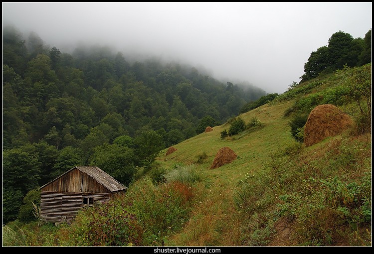 ��������� ���������
---------
 (�������� �� �����������, ����� ������� ��� � ������ �����)