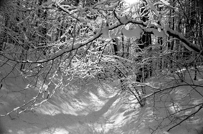 ������� .....
---------
 (�������� �� �����������, ����� ������� ��� � ������ �����)