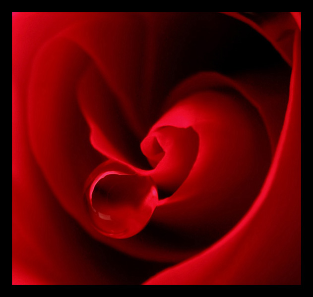 For You!
---------
 (кликните по изображению, чтобы открыть его в полный экран)