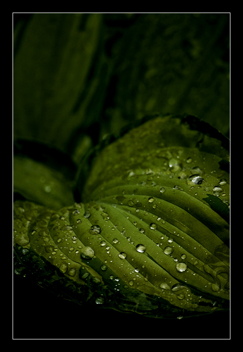 10  ..
---------
 (  ,      )