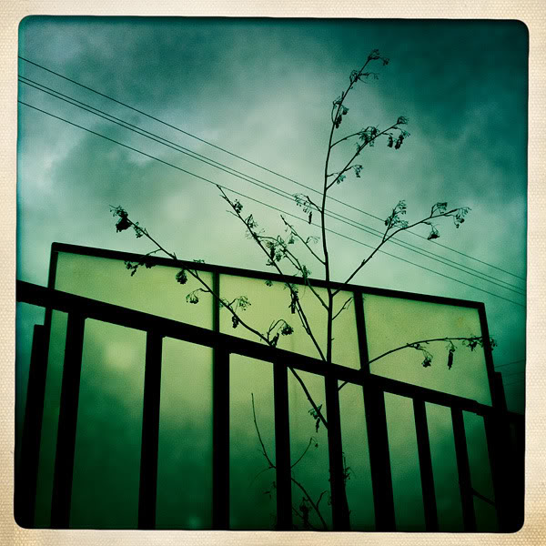 Polaroids #31
---------
 (  ,      )