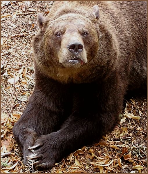 ?   - !
---------
 (  ,      )