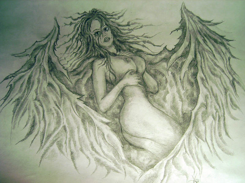 fallen angel
---------
 (  ,      )