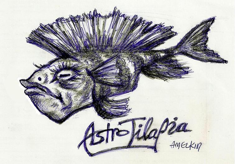 AstroTilapia -  -  -  !
---------
 (  ,      )