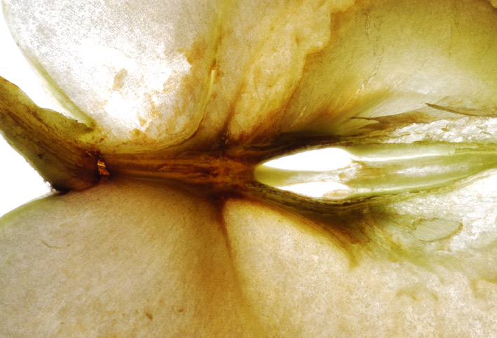 
---------
 (  ,      )