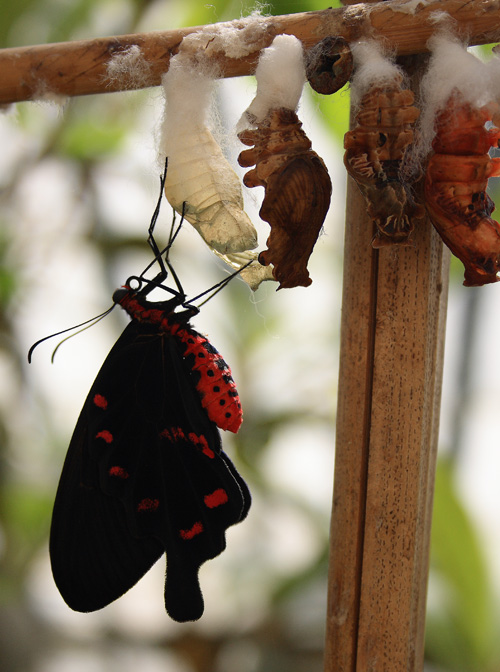 �������� ����������
---------
 (�������� �� �����������, ����� ������� ��� � ������ �����)