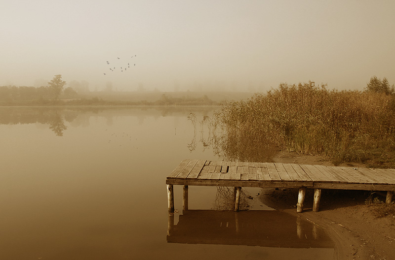 ���, ��� ��� ���
---------
 (�������� �� �����������, ����� ������� ��� � ������ �����)