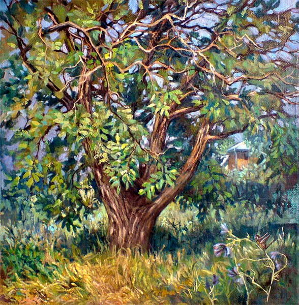 ������ ����
---------
 (�������� �� �����������, ����� ������� ��� � ������ �����)