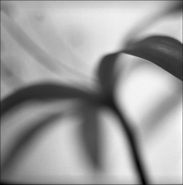 ...
---------
 (�������� �� �����������, ����� ������� ��� � ������ �����)