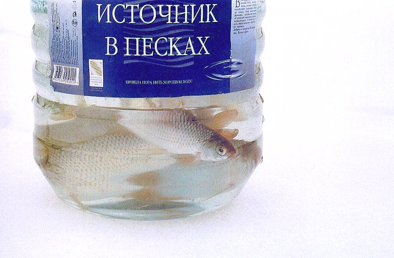Продинамили... блин!
---------
 (кликните по изображению, чтобы открыть его в полный экран)