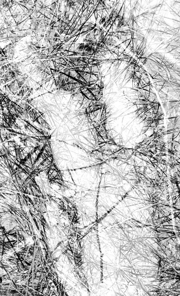 
---------
 (  ,      )