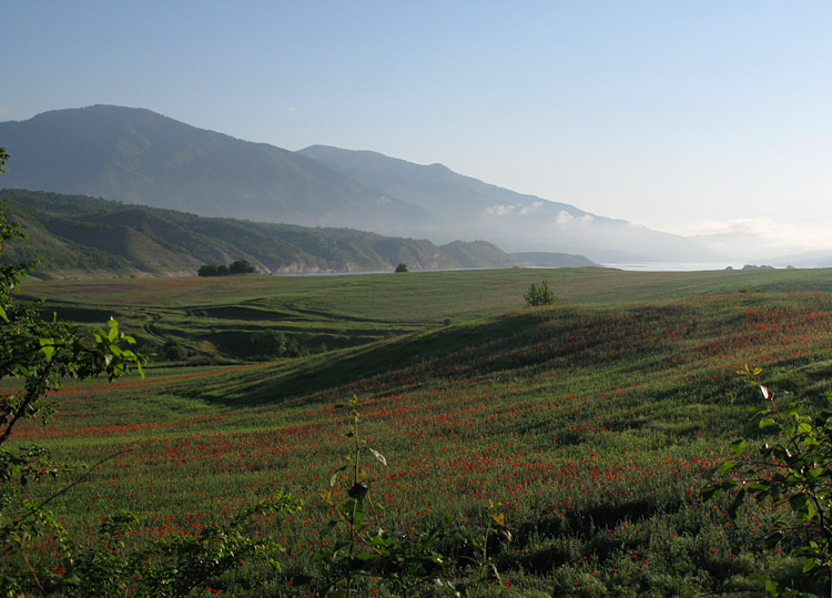 ����
---------
 (�������� �� �����������, ����� ������� ��� � ������ �����)