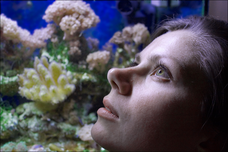 ������� �����
---------
 (�������� �� �����������, ����� ������� ��� � ������ �����)