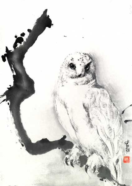 White Owl
---------
 (  ,      )