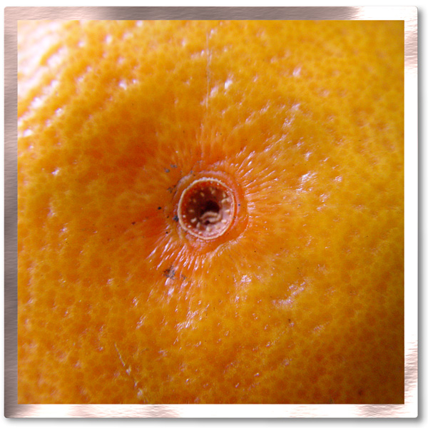 The centre of the Orange
---------
 (  ,      )