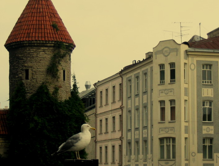   
---------
 (  ,      )