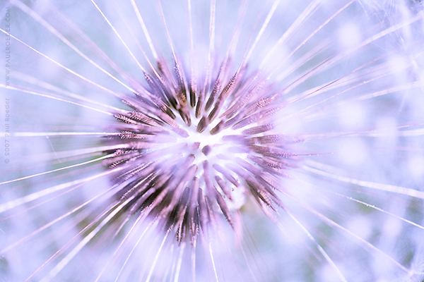   / Fulcrum
---------
 (  ,      )