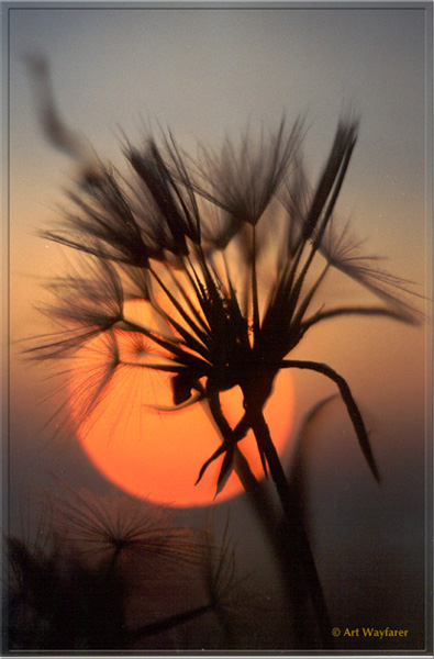 Evening silence
---------
 (  ,      )