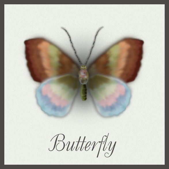 Butterfly
---------
 (  ,      )