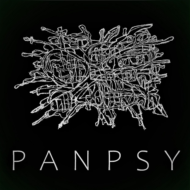 panpsy-lines
---------
 (  ,      )