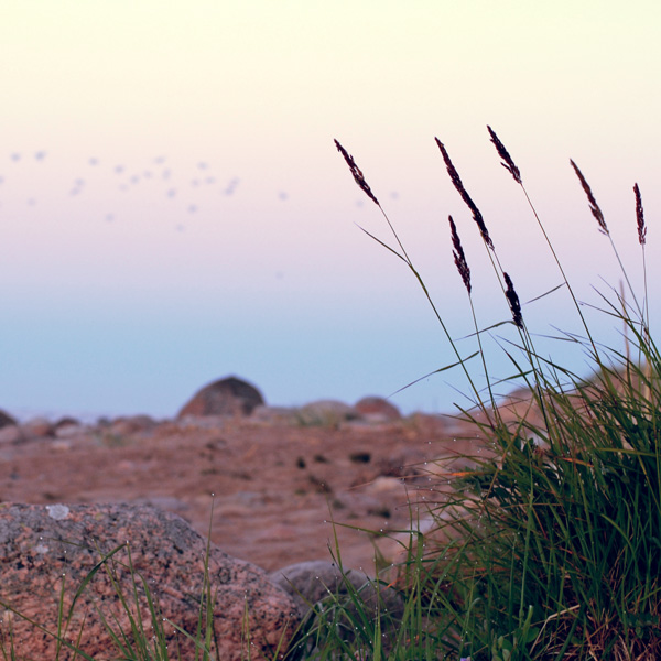 *****
---------
 (  ,      )