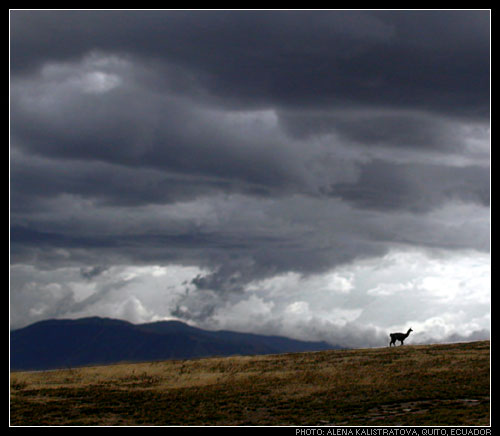 Ecuador
---------
 (  ,      )