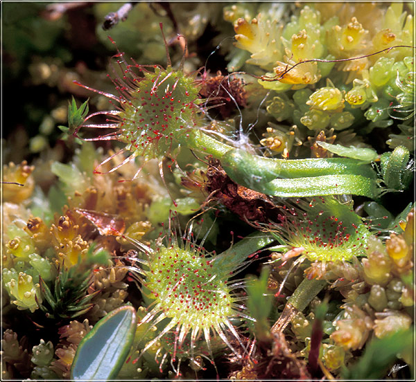 ������� ������
---------
 (�������� �� �����������, ����� ������� ��� � ������ �����)