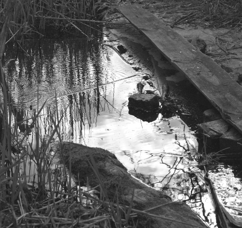 * * *
---------
 (  ,      )