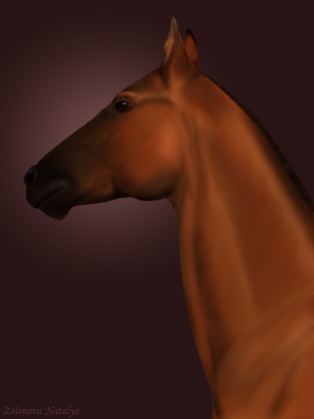  Akhal-Teke
---------
 (  ,      )