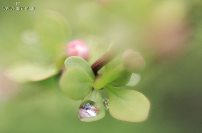 �����
---------
 (�������� �� �����������, ����� ������� ��� � ������ �����)