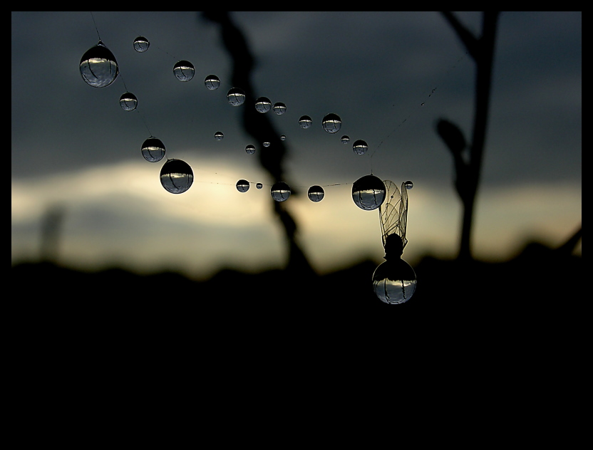 ������ ��� �����! � ���� ����� �����.
---------
 (�������� �� �����������, ����� ������� ��� � ������ �����)