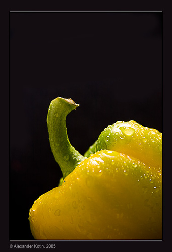 Yellow Pepper
---------
 (  ,      )