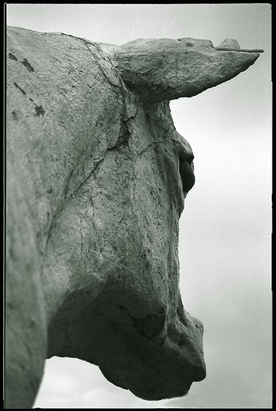 Korova
---------
 (  ,      )