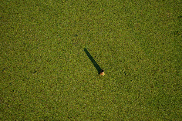   
---------
 (  ,      )