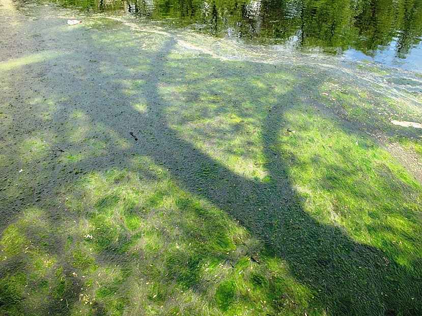  -...
---------
 (  ,      )