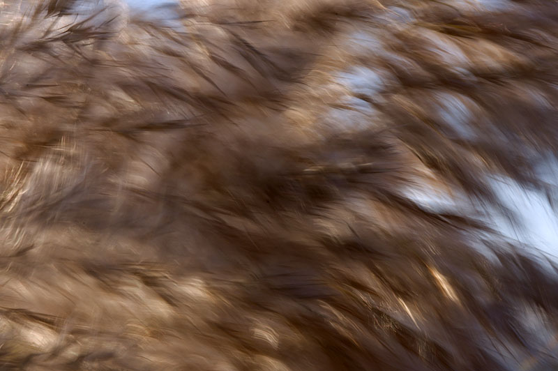 Motion Blur
---------
 (  ,      )