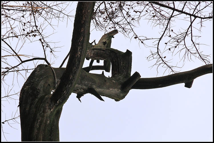 
---------
 (  ,      )