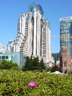 San Francisco Yerba Buena Gardens View
---------
 (  ,      )