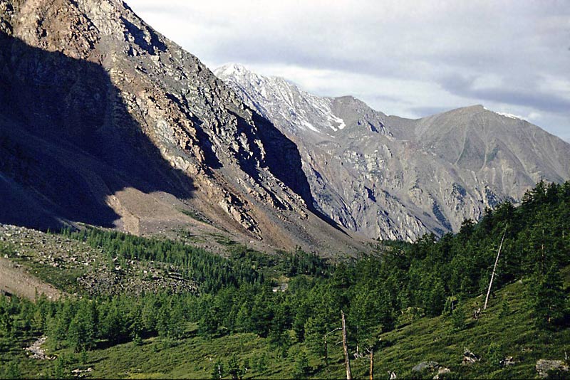 Altai (10) 1980
---------
 (  ,      )