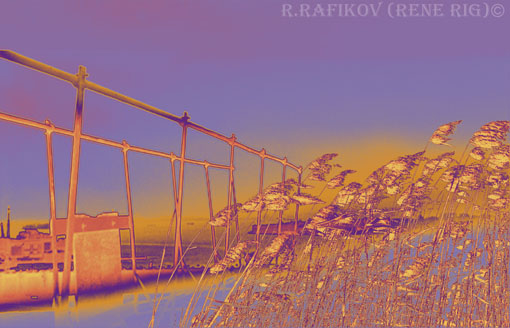  . The Violet evening.
---------
 (  ,      )