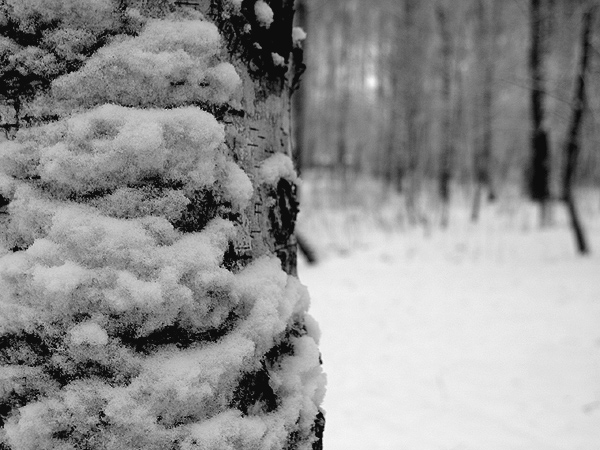 ������� ������...
---------
 (�������� �� �����������, ����� ������� ��� � ������ �����)