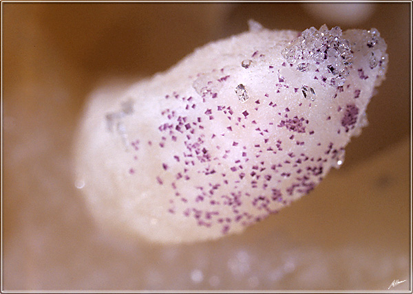      925
---------
 (  ,      )