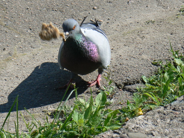 ...
---------
 (�������� �� �����������, ����� ������� ��� � ������ �����)