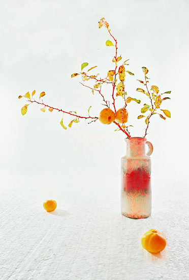 Osennij etjud
---------
 (  ,      )