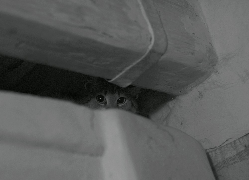 ...нычкарь...
---------
 (кликните по изображению, чтобы открыть его в полный экран)